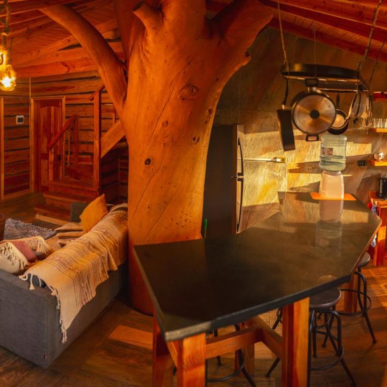 Encantadora Casa del Árbol en el Valle del Elqui! - Casa de 3 dormitorios - 24