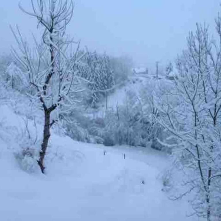 CHALET DUPLEX CHARMANT ENTRE LAC ET MONTAGNES - Chalet 2 Chambres - 9