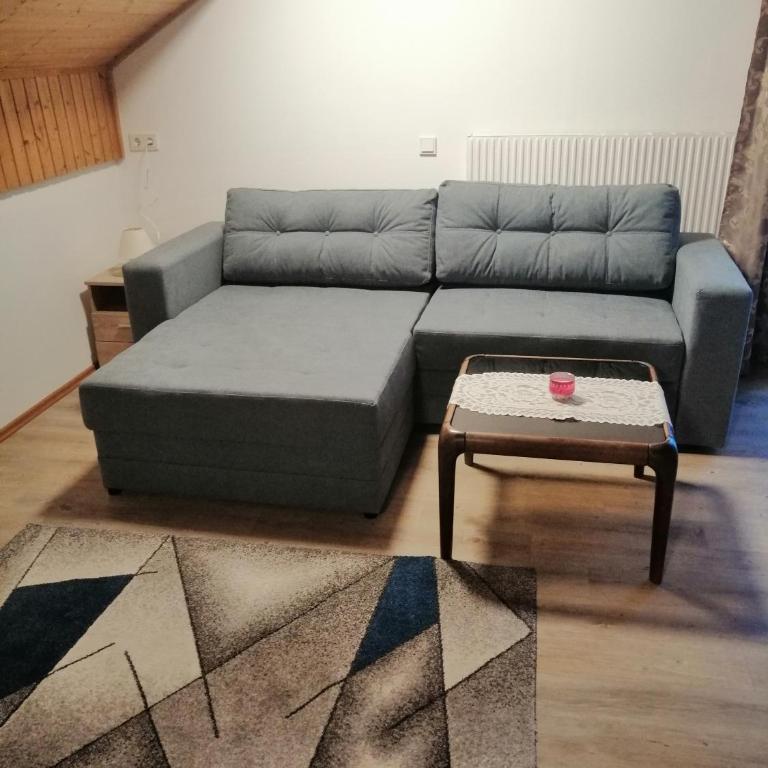 Apartmenthaus Kestel Gasthof - Familienstudio - 8