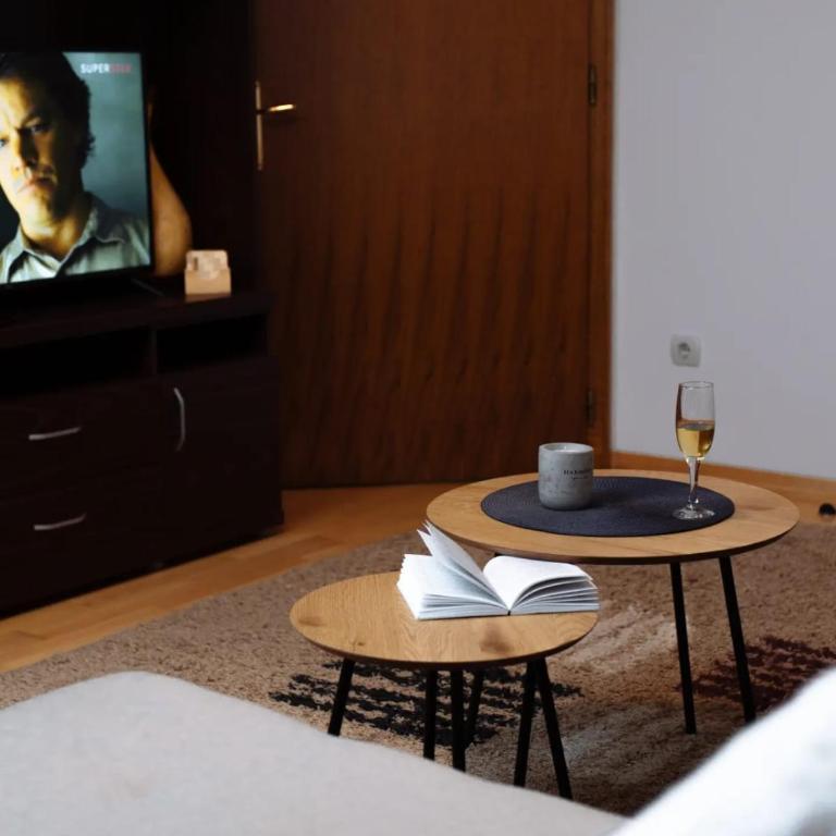 Apartman Danica - Apartman sa 1 Spavaćom Sobom - 4