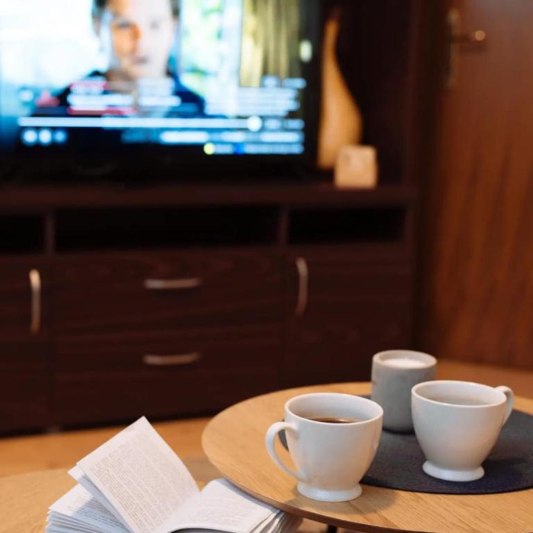 Apartman Danica - Apartman sa 1 Spavaćom Sobom - 5