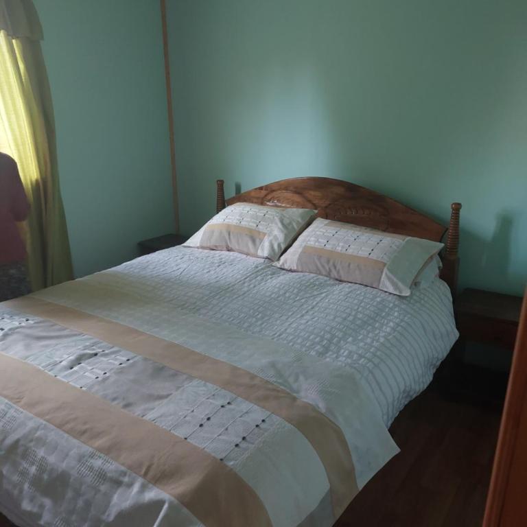 cabaña a 13 km de coyhaique camino lago atravesado, últimos 300 metros para vehículos 4x4 - Casa con 1 dormitorio - 11