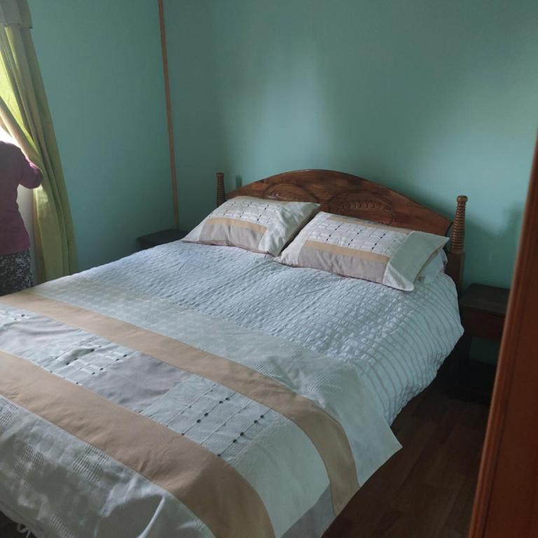 cabaña a 13 km de coyhaique camino lago atravesado, últimos 300 metros para vehículos 4x4 - Casa con 1 dormitorio - 18
