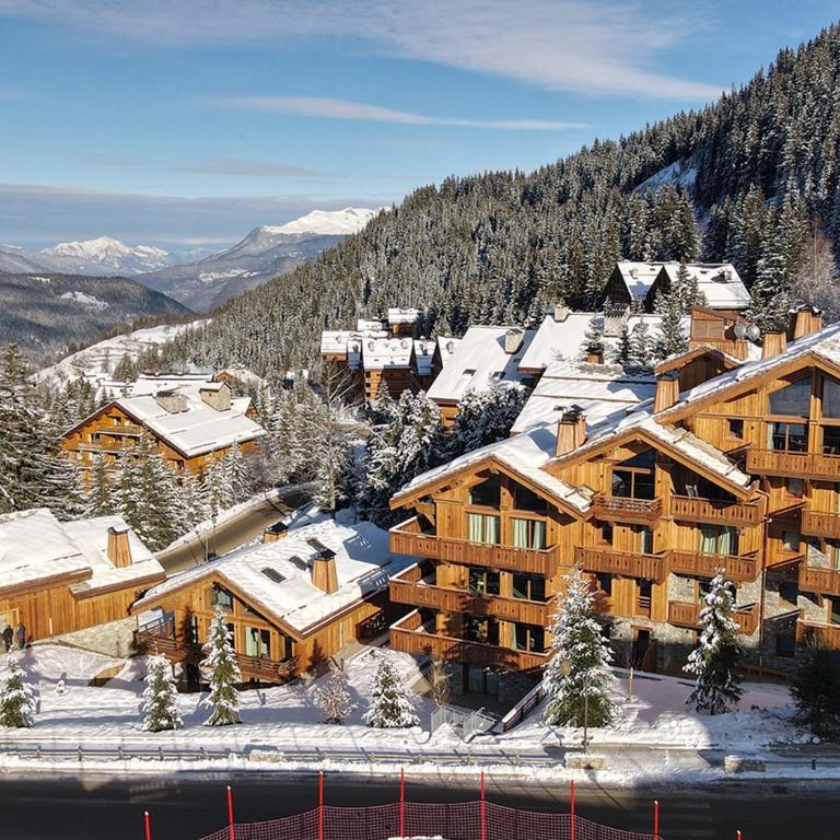 Appartement de prestige avec spa, jacuzzi et conciergerie, Route du Plateau, Les Allues - FR-1-613-55 - Appartement - 9