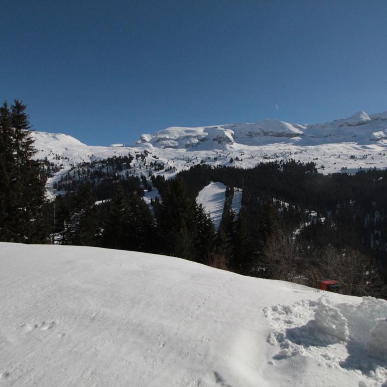 Studio cosy pour 5 pers avec balcon, proche pistes à Flaine Forêt - FR-1-687-92 - Studio - 8