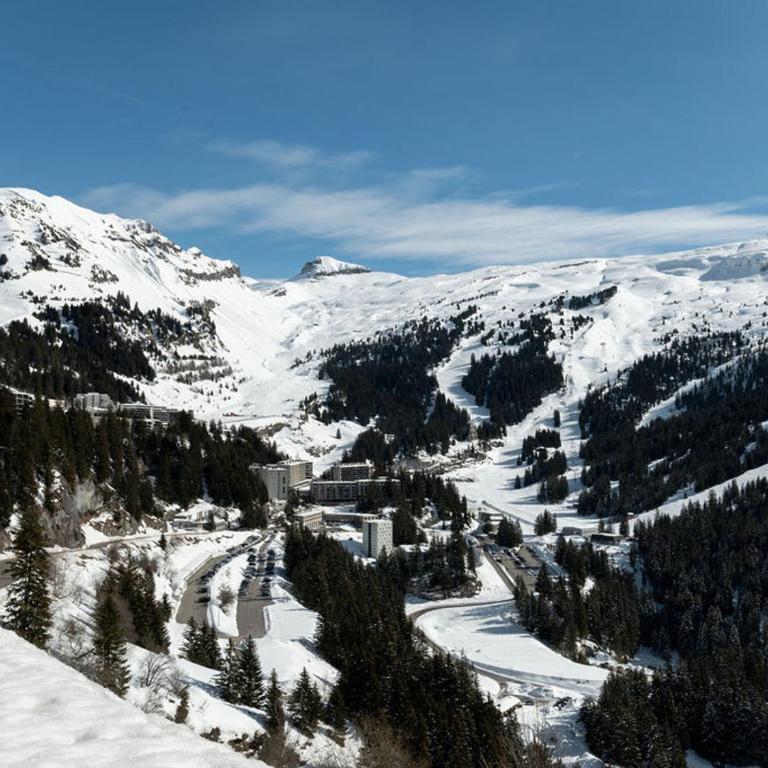 Studio cosy pour 5 pers avec balcon, proche pistes à Flaine Forêt - FR-1-687-92 - Studio - 9