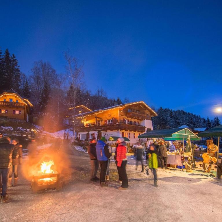 Chalet in Wildkogel near Ski Slopes - Chalet mit 2 Schlafzimmern - 23