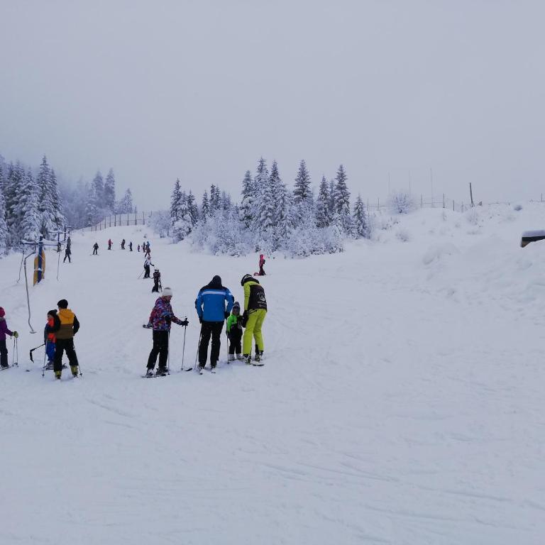 Cozy Ski Apartment Jahorina - One-Bedroom Apartment - 28