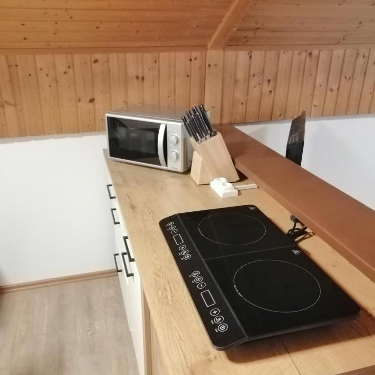Apartmenthaus Kestel Gasthof - Familienstudio - 13