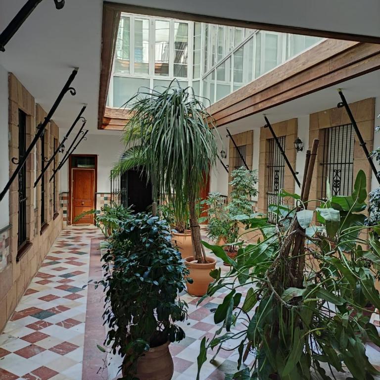 Apartamento Casa Palacio 1890. - Apartamento de 1 dormitorio - 7