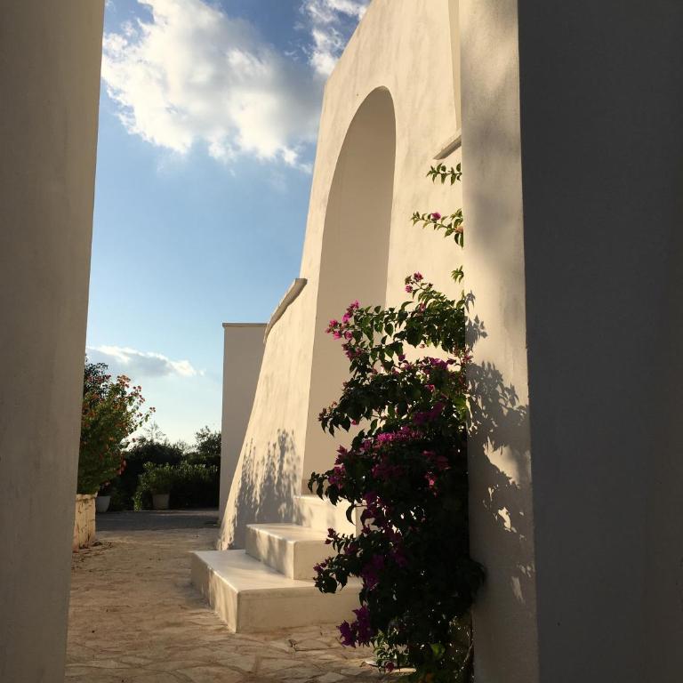 IL Quieto Uliveto - Casa con 1 Camera da Letto - Trullo - 6
