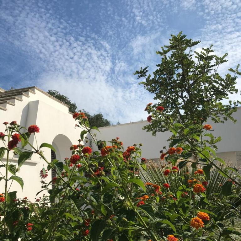 IL Quieto Uliveto - Casa con 1 Camera da Letto - Trullo - 2