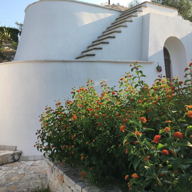IL Quieto Uliveto - Casa con 1 Camera da Letto - Trullo - 1