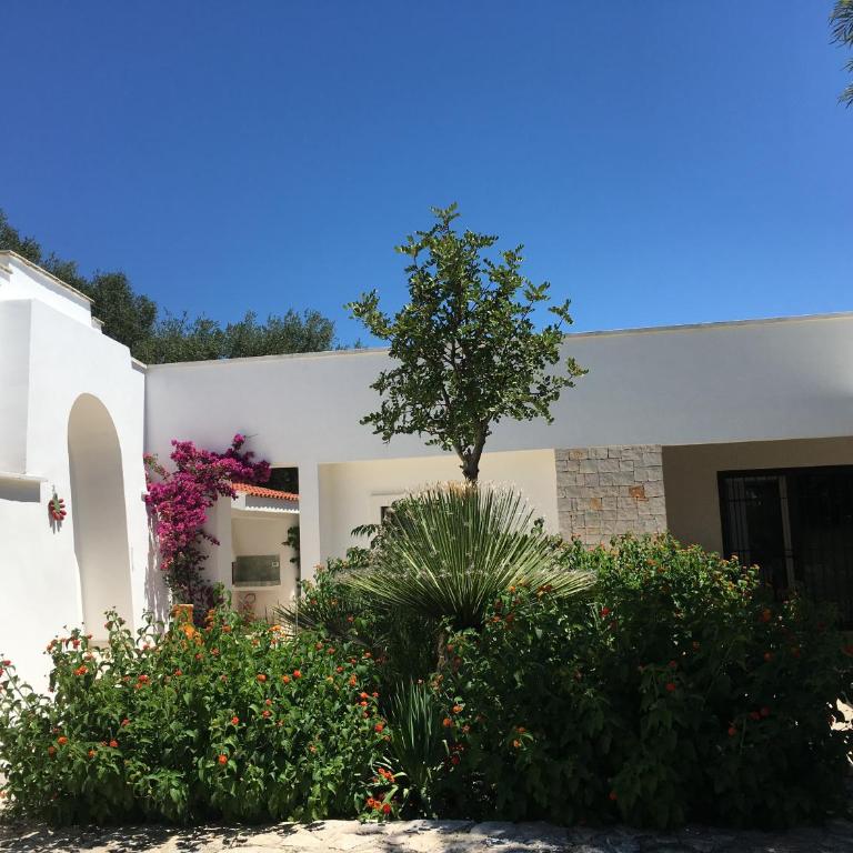 IL Quieto Uliveto - Casa con 1 Camera da Letto - Trullo - 5