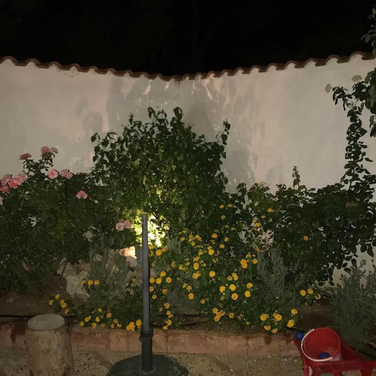 Holiday & House - Imparato Carini Costa Verde - Appartamento con giardino privato - porzione di Villa residenziale a pochi passi dal mare - One-Bedroom Apartment with Garden View - 7