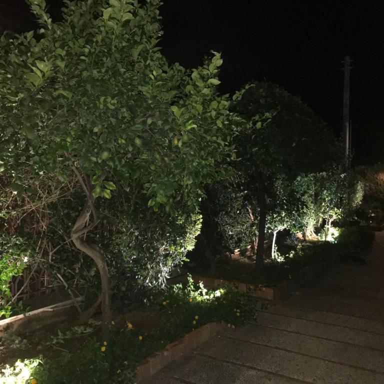 Holiday & House - Imparato Carini Costa Verde - Appartamento con giardino privato - porzione di Villa residenziale a pochi passi dal mare - One-Bedroom Apartment with Garden View - 9