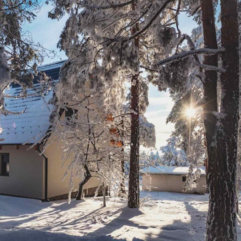 Vila Nadežda Divčibare - Vila sa 3 Spavaće Sobe - 5