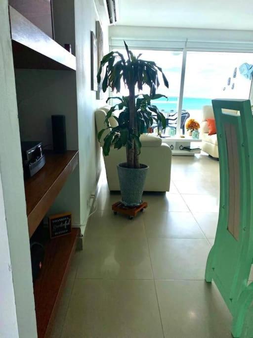 Apartamento torres del lago 1102 - Two-Bedroom Apartment - 22