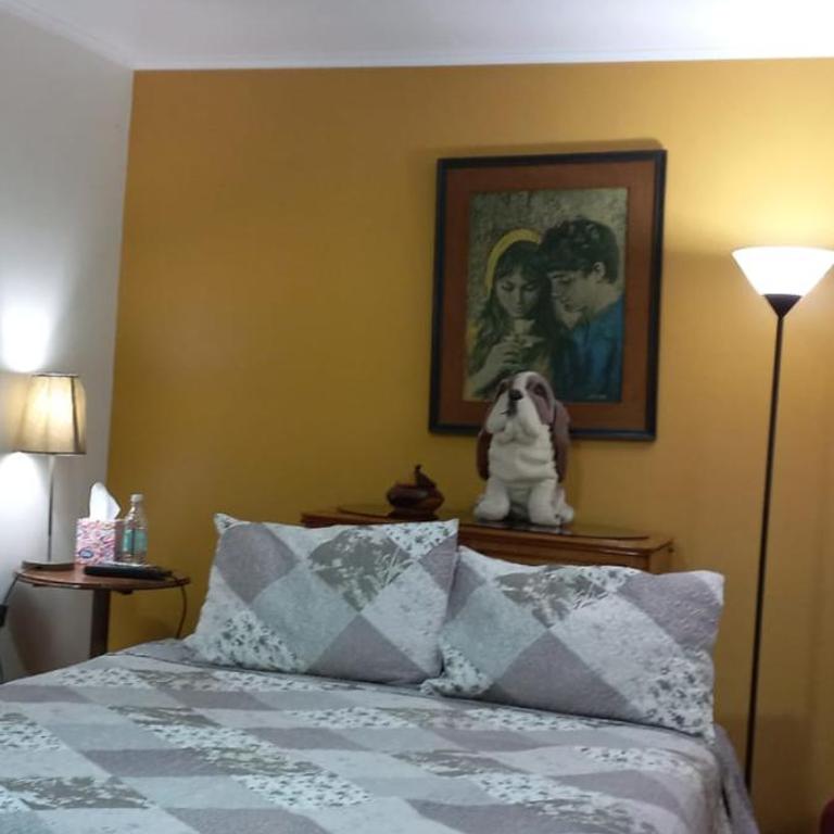 Guesthouse Playa Chinchorro - Deluxe Double Room with Shower - 5