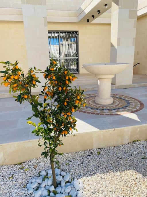 LUXUS VILLA WITH SWIMMINGPOOL, 1-6 p., CAROVIGNO - Villa Deluxe - 54