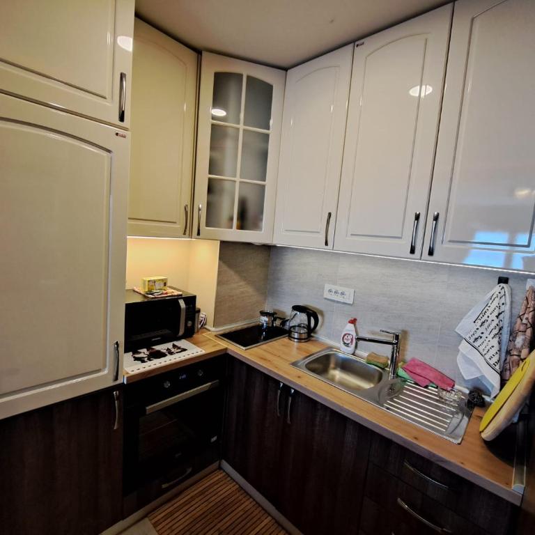 A cozy mountain flat in Zlatibor - One-Bedroom Apartment - 6