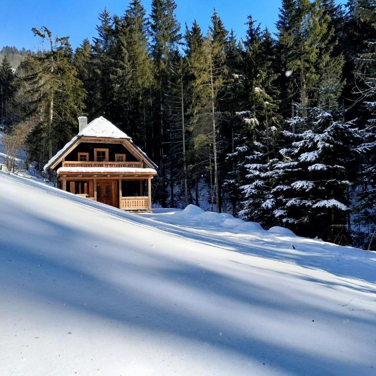 Biohof Prem - Ferienhaus mit Dusche - 15