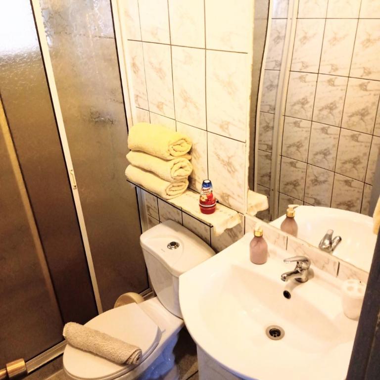 CABAÑA EN PUERTO VARAS - Apartamento de 2 dormitorios - 15