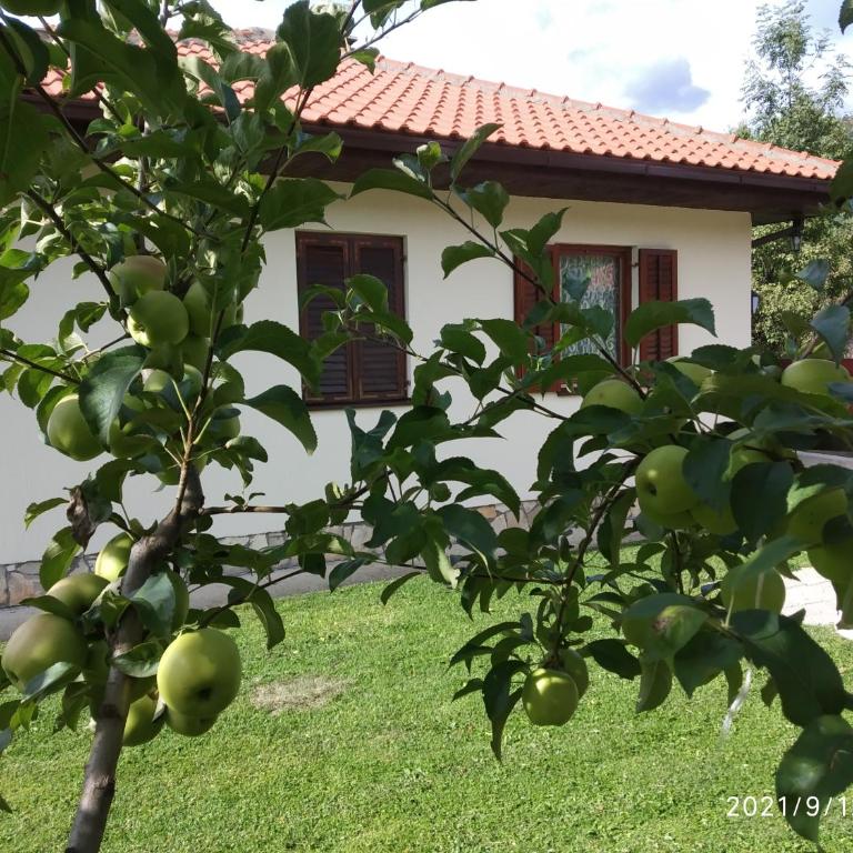 Bjelasica Home - Kuća sa 3 Spavaće Sobe - 39