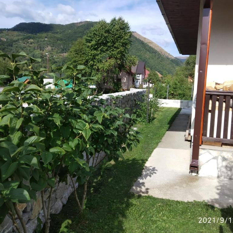 Bjelasica Home - Kuća sa 3 Spavaće Sobe - 42