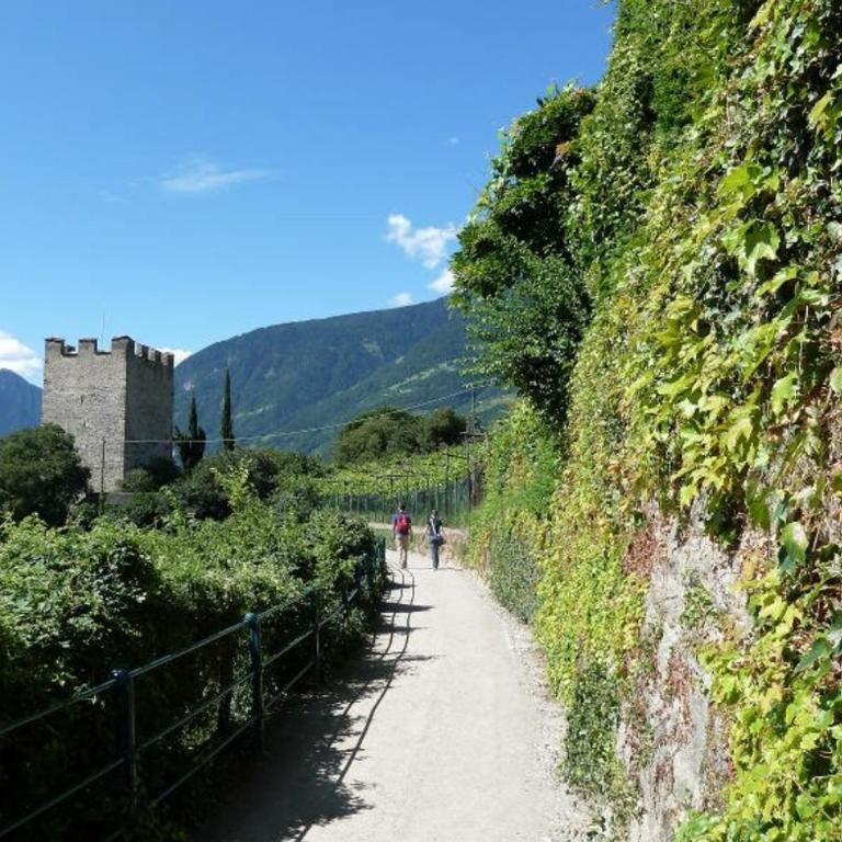 Apartment Römerbrücke - Ponte Romano - Appartamento con 1 Camera da Letto - 19