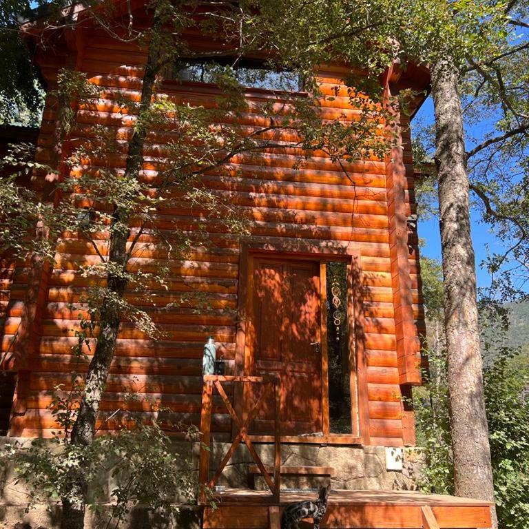 Vine para Quedarme - Chalet de 2 dormitorios - 2