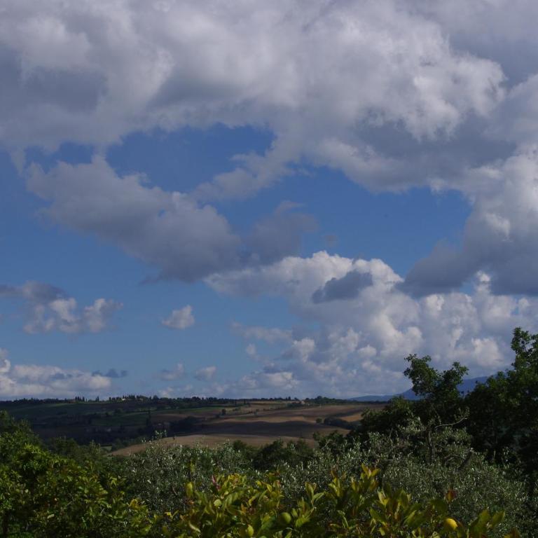 Agriturismo Cerreto - Appartamento con 2 Camere da Letto - 1