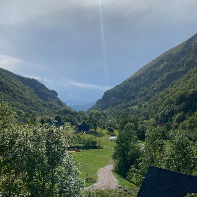 Planinska kuca Grujic - Vila - 10