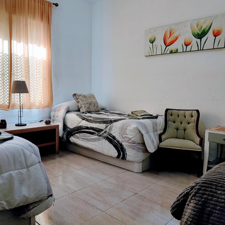 Apartamento La flor de Mayo - Apartamento - Planta baja - 24