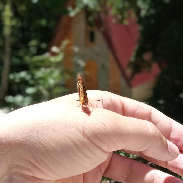 Crkvine Cottage - Kuća sa 2 Spavaće Sobe - 15