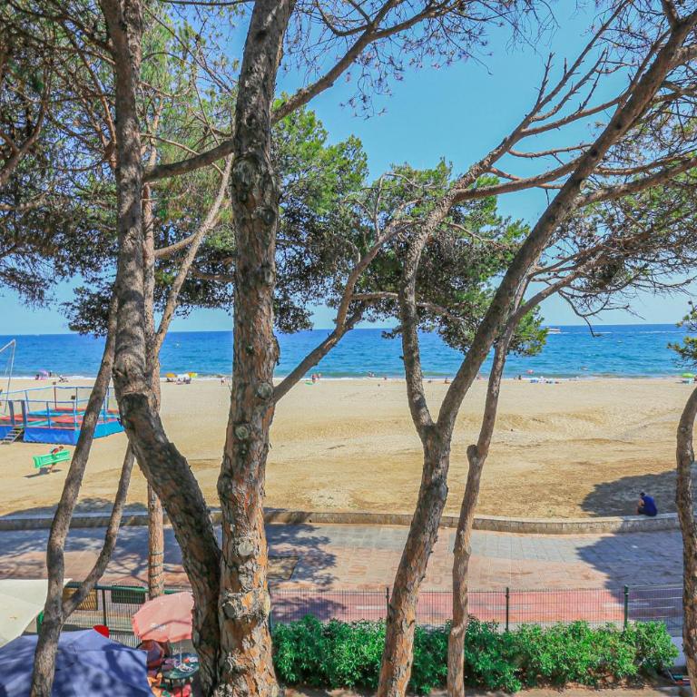 LITORAL COSTA DORADA - PLAYMAR Only families - Apartment - 24