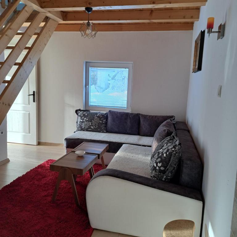 Villa Sofija - Apartman sa 3 Spavaće Sobe - 3