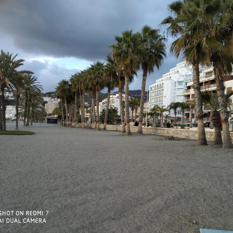 Delfin Home - Apartamento de 2 dormitorios - 38