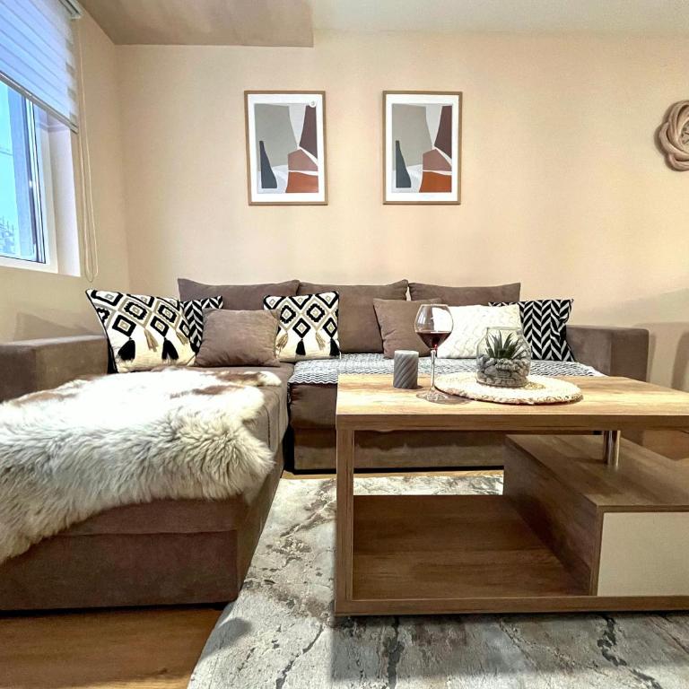Borski Luxury Apartments - Apartman sa 1 Spavaćom Sobom - 5
