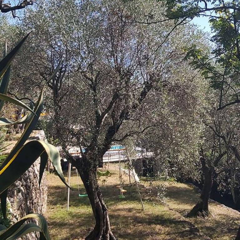 "La Colombe sous les Oliviers" Gîte jusqu'à 4 personnes - 75m2 - Sur Boooking - Rez de jardin Piscine Vue mer et lac - Casa Vacanze - 34