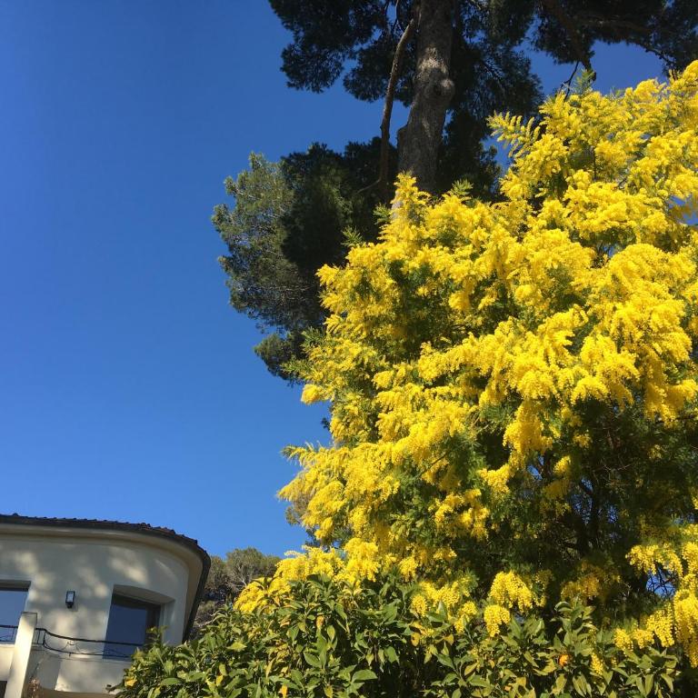Villa Clair Matin - Antibes - Sea View - Pool - Sauna - Beach - AC - Villa - Vue sur Mer - 35