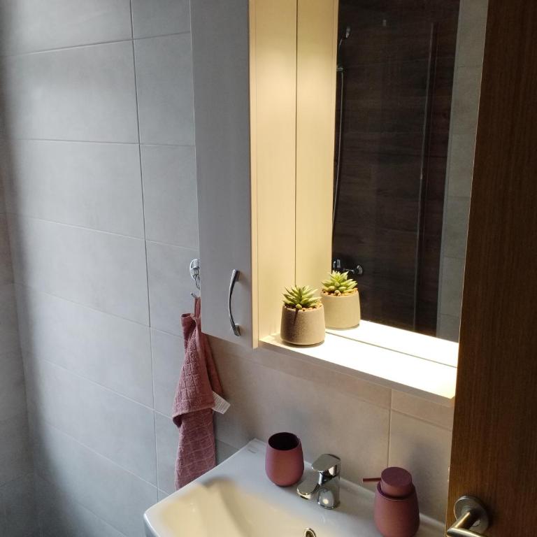 Apartman Nađa - Apartman sa 1 Spavaćom Sobom - 14