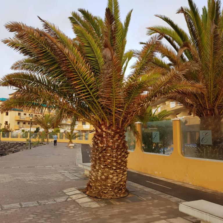 Casa Mia - Two-Bedroom Apartment - 34