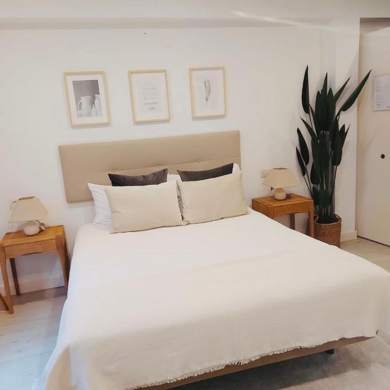 Mirador Catedral de Santiago - Estudio Deluxe con cama grande - 5