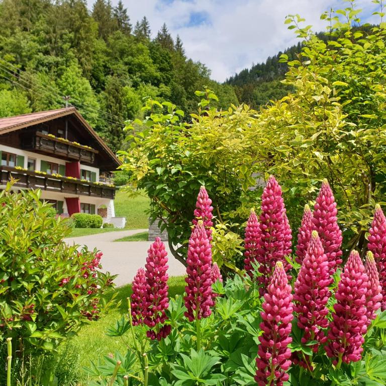 Gschwenderhaus Ferienwohnungen - Apartment mit 1 Schlafzimmer und Balkon - 8