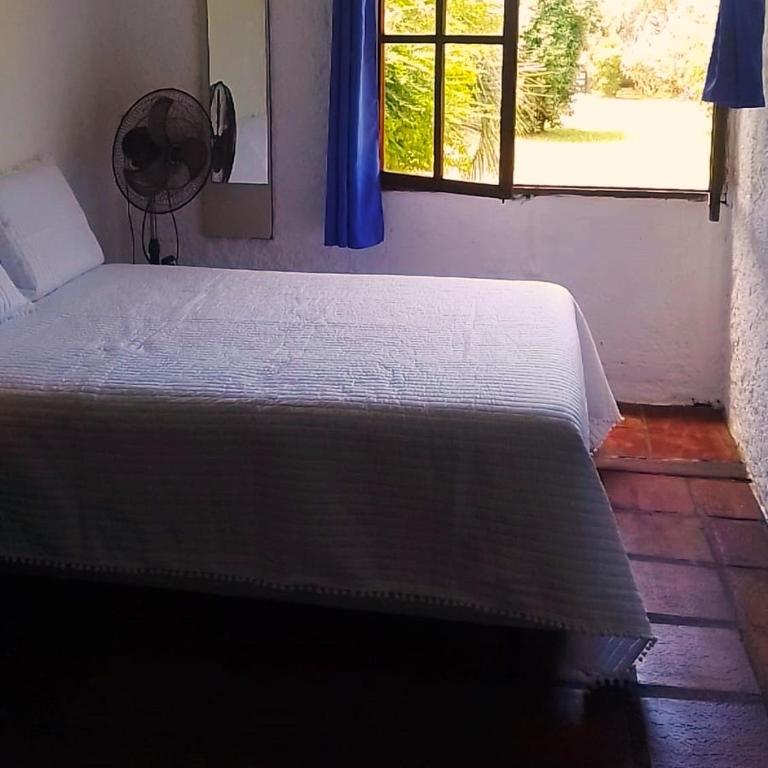 Apartamento Privado (CERCA DE TODO LEJOS DEL RUIDO) - Apartamento de 1 dormitorio - 1