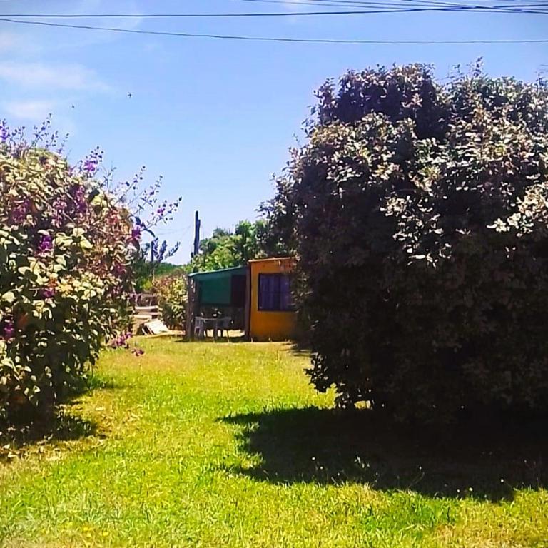 Apartamento Privado (CERCA DE TODO LEJOS DEL RUIDO) - Apartamento de 1 dormitorio - 6
