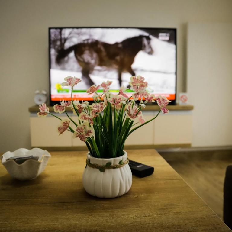 Apartman Marić Raj - One-Bedroom Apartment - 10
