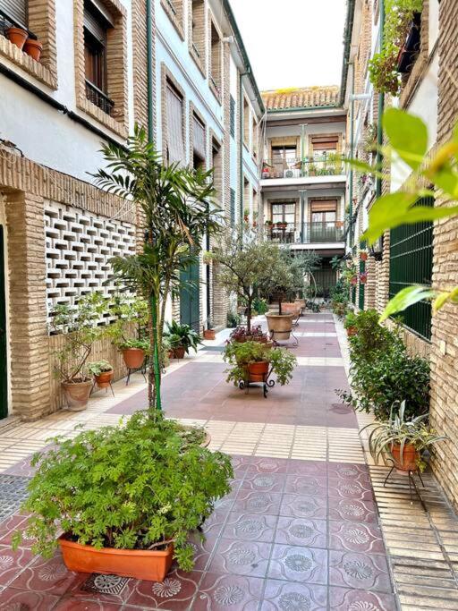 NEW! Alojamiento - Los Patios de la Ribera - Apartamento - 24