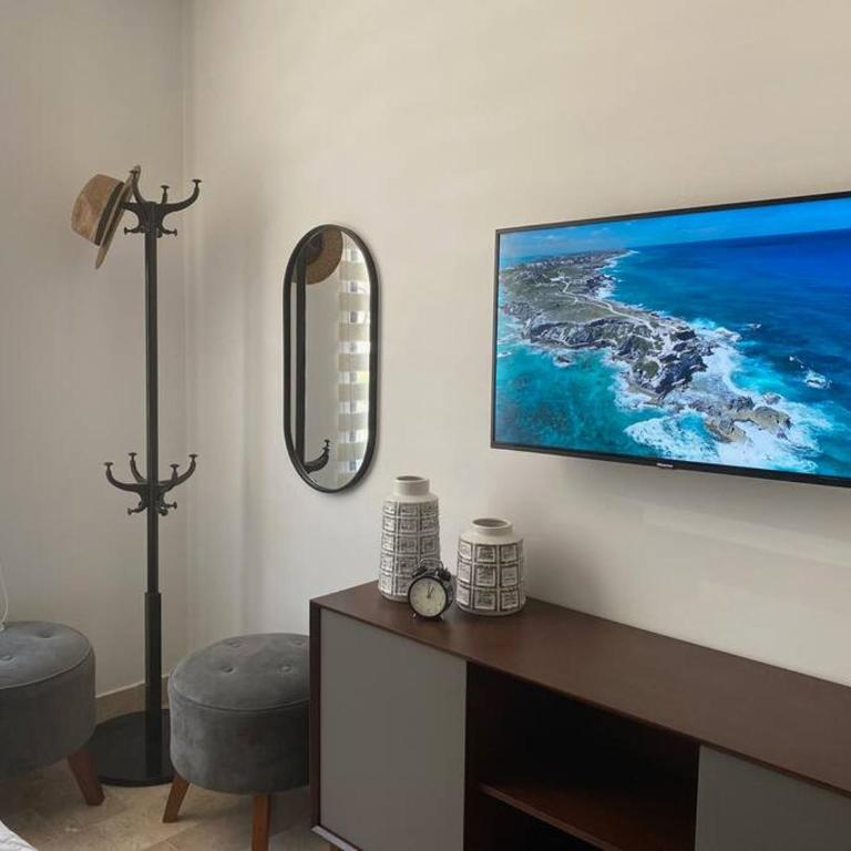 Depa planta baja en San Miguel de Allende - Apartamento de 2 dormitorios - 3